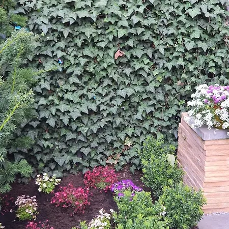 Dom Saski 10 Minut Od Centrum Warszawy