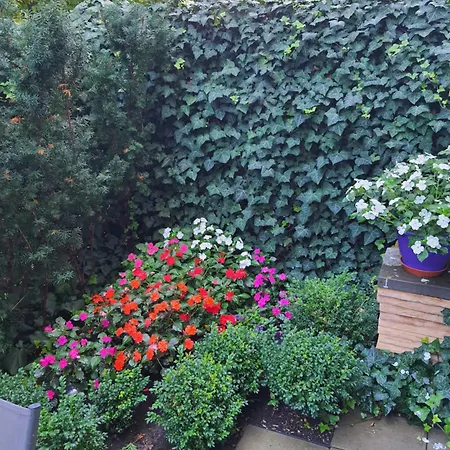 Dom Saski 10 Minut Od Centrum Warszawy