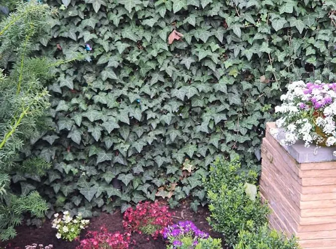 Dom Saski 10 Minut Od Centrum Warszawy