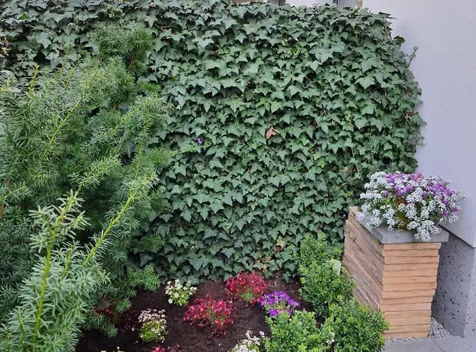 Dom Saski 10 Minut Od Centrum Warszawy *