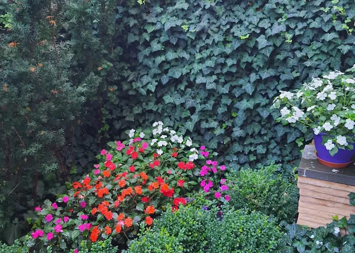 Dom Saski 10 Minut Od Centrum Warszawy